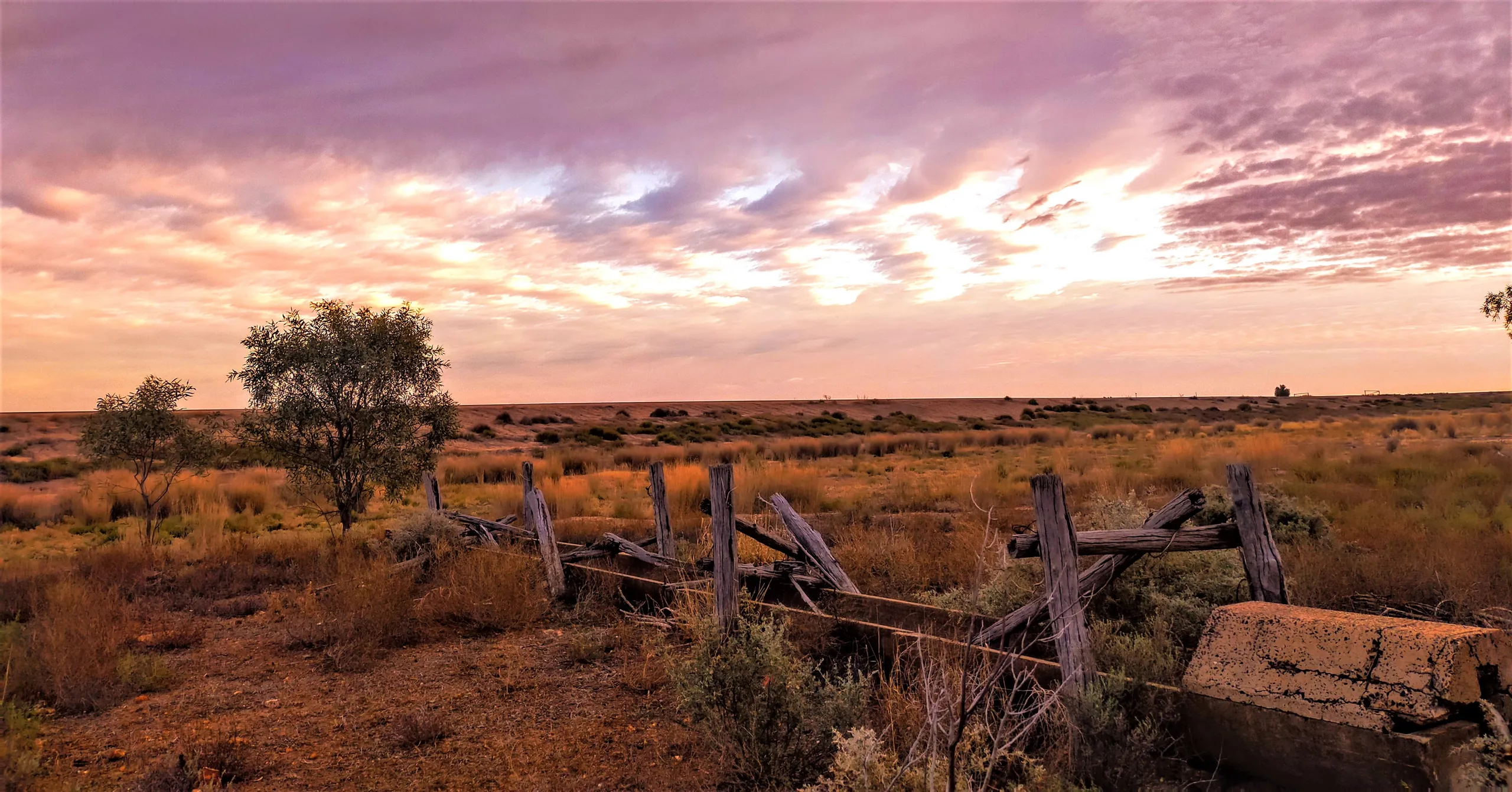 The Balonne plains under a mauve sunset