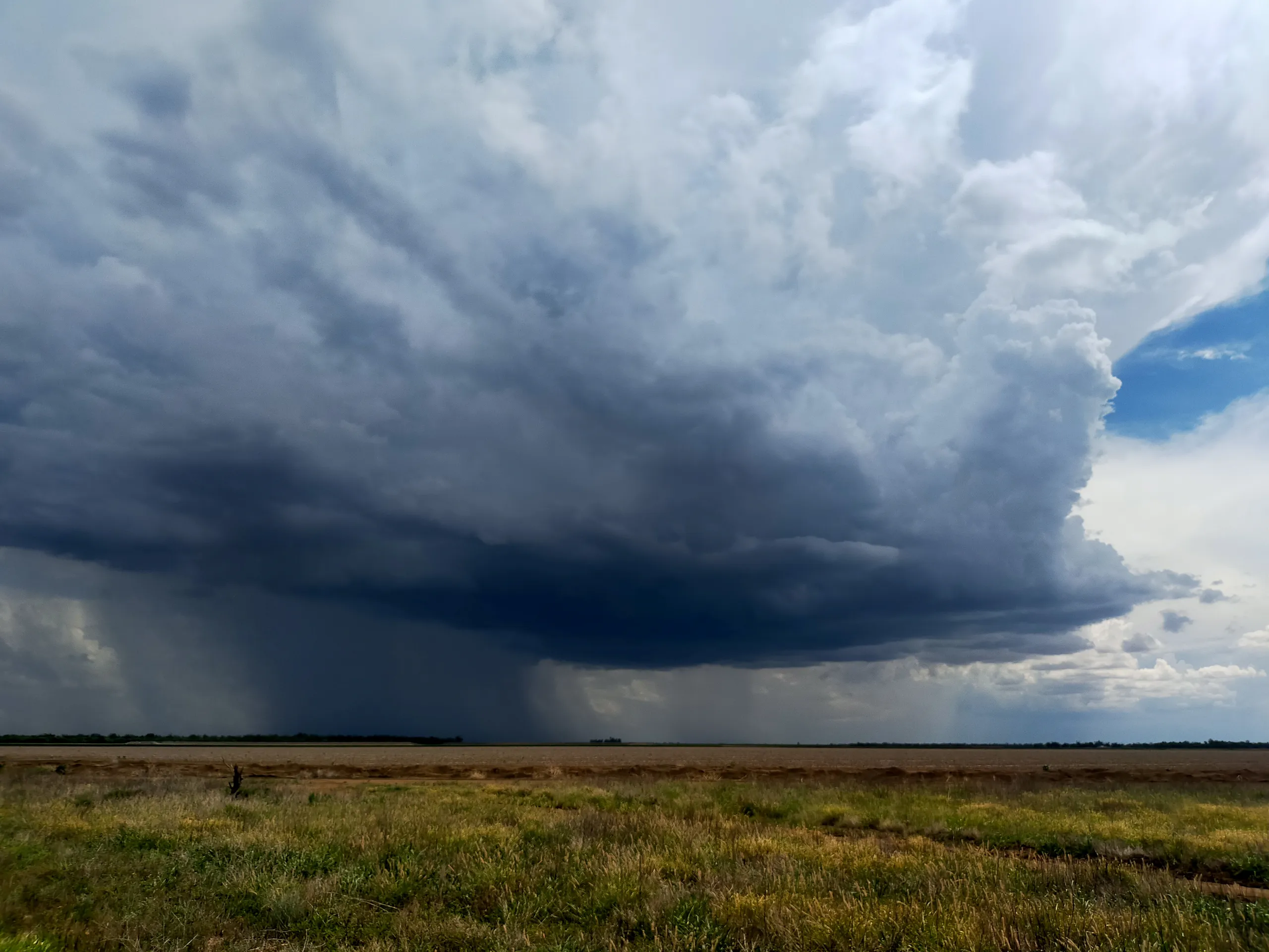 Storm cell sweeping across the Balonne plains